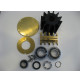 Pump Parts For Jabsco - RK0002 - CEF